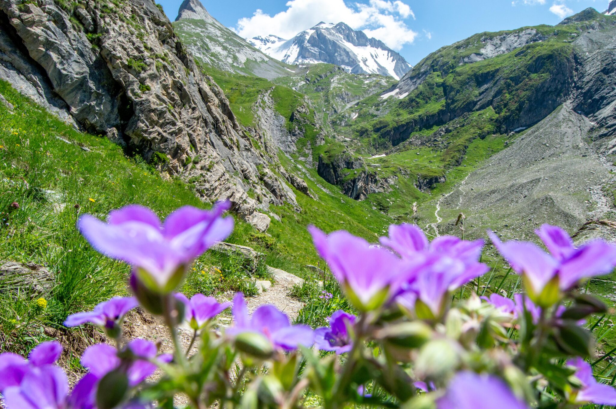 Flore - Engagements éco-responsables
